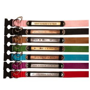 A collar purchase with a purpose